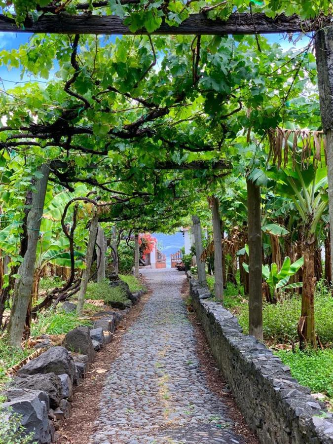 Faja Dos Padres Villa Ribeira Brava Ngoại thất bức ảnh