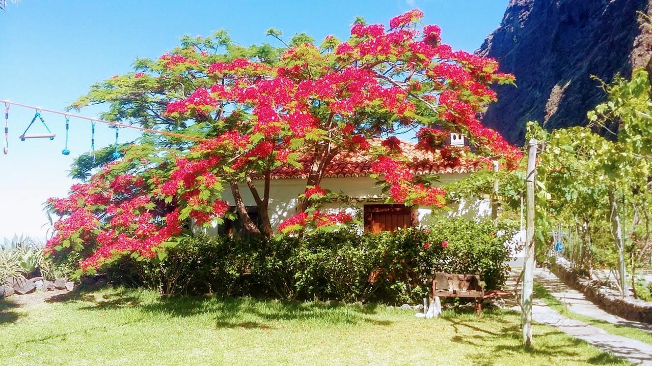 Faja Dos Padres Villa Ribeira Brava Ngoại thất bức ảnh