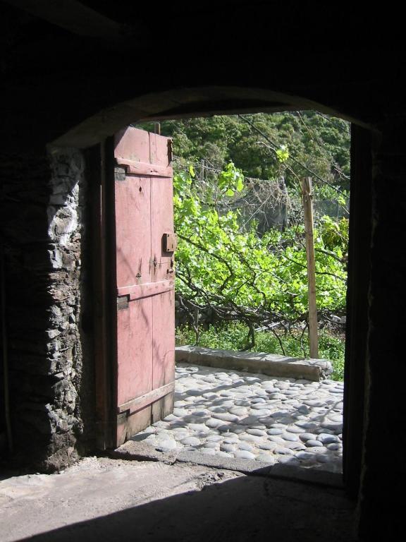 Faja Dos Padres Villa Ribeira Brava Ngoại thất bức ảnh