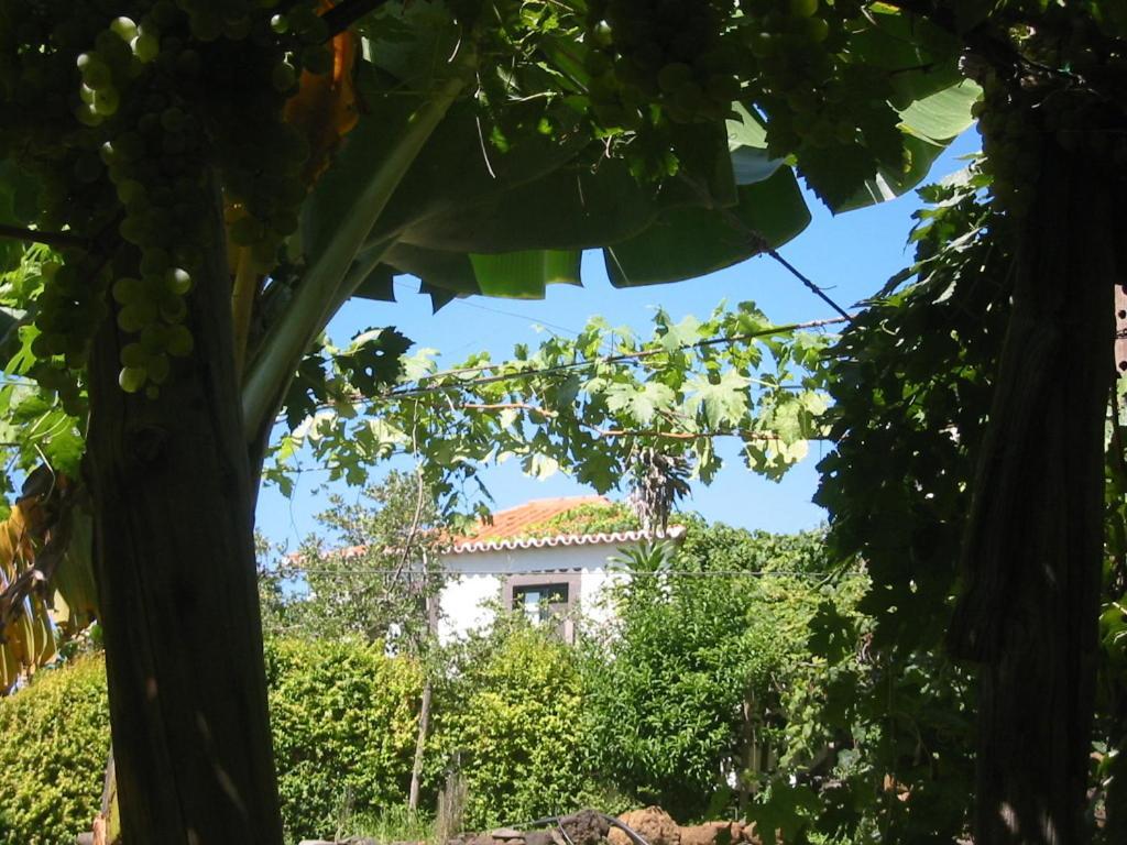 Faja Dos Padres Villa Ribeira Brava Ngoại thất bức ảnh